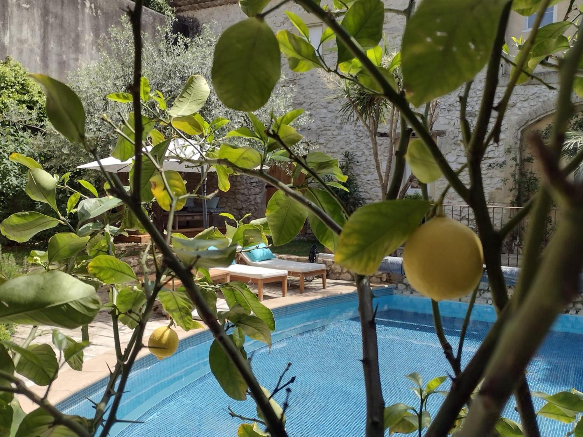 La Maison Des Autres, Piscine Chauffee, Chambres D'Hotes Proches Uzes, Nimes, Pont Du Gard Saint-Genies-de-Malgoires エクステリア 写真